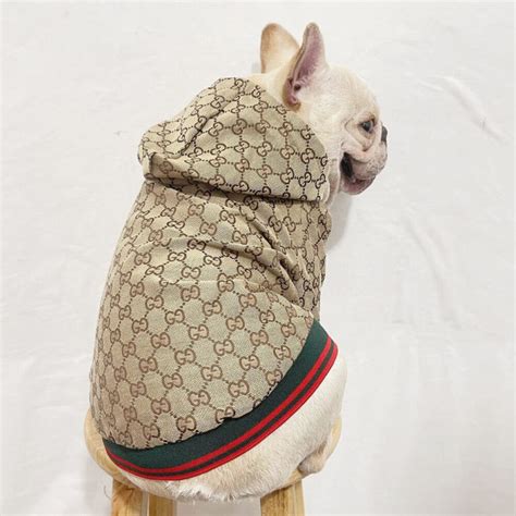 gucci dog minions|Gucci dog coats.